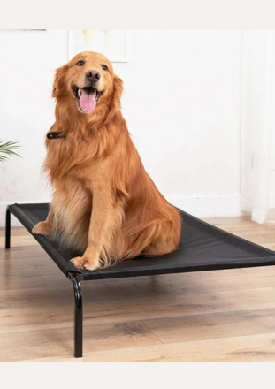 Portable Elevated Dog Bed - Foldable, Waterproof & Breathable Pet Cot